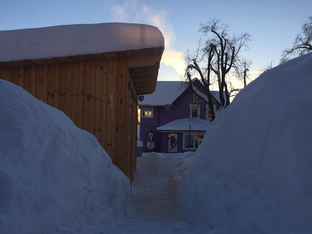 Blockhaus An Der Skiwiese 布劳恩拉格 外观 照片