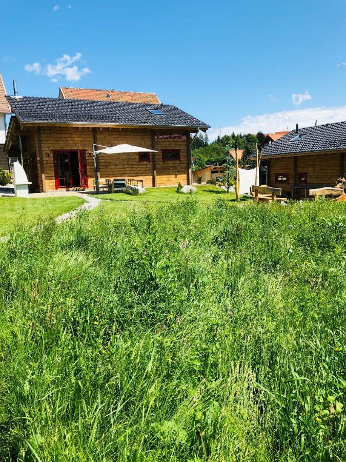 Blockhaus An Der Skiwiese 布劳恩拉格 外观 照片